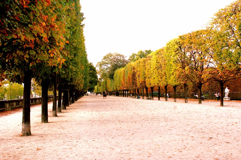 The pretty colours of autumn in the Jardin des Tuileries.