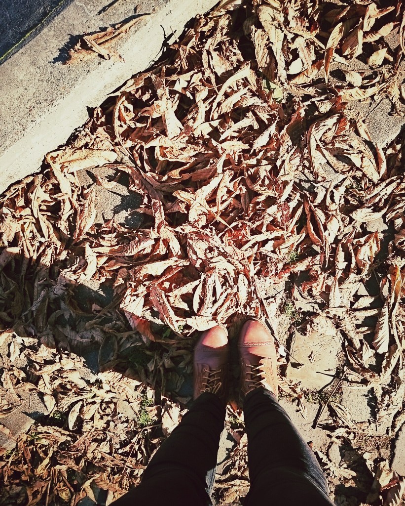 IMG_20141111_122652_1