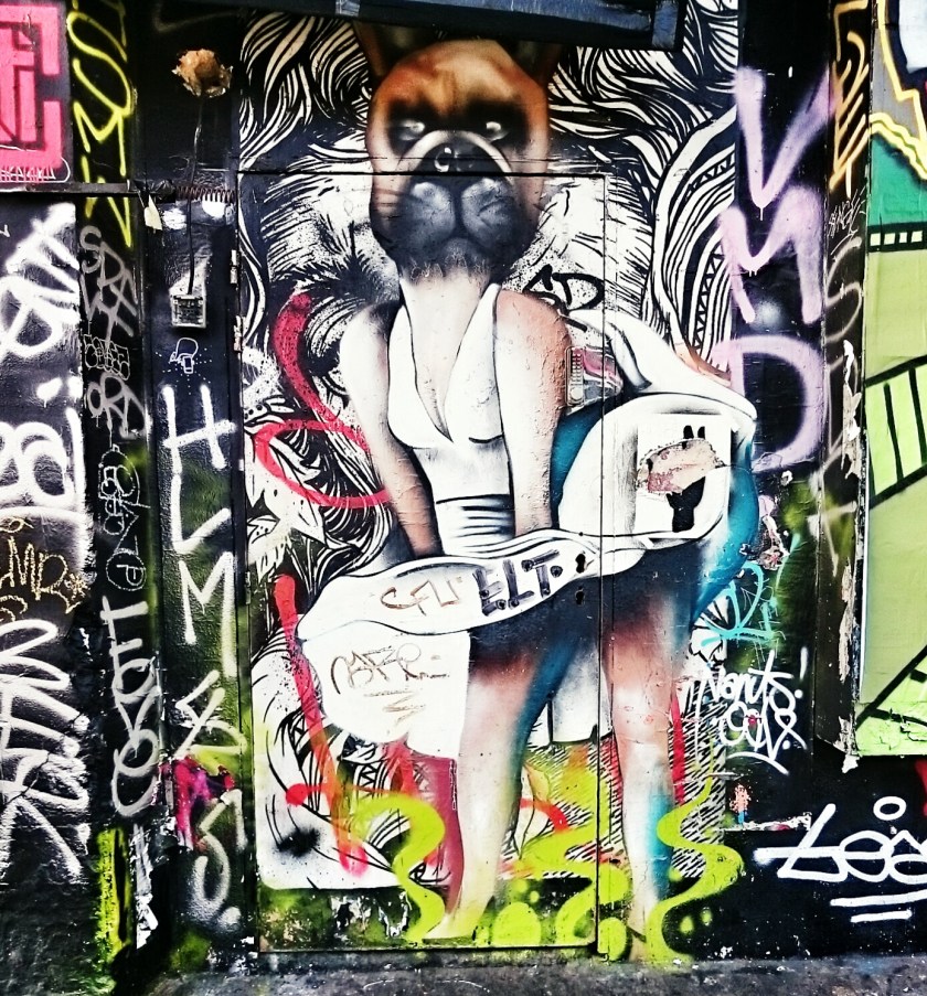 IMG_20141111_141327_1