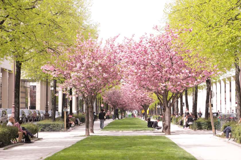 The Promenade Plantée, Paris