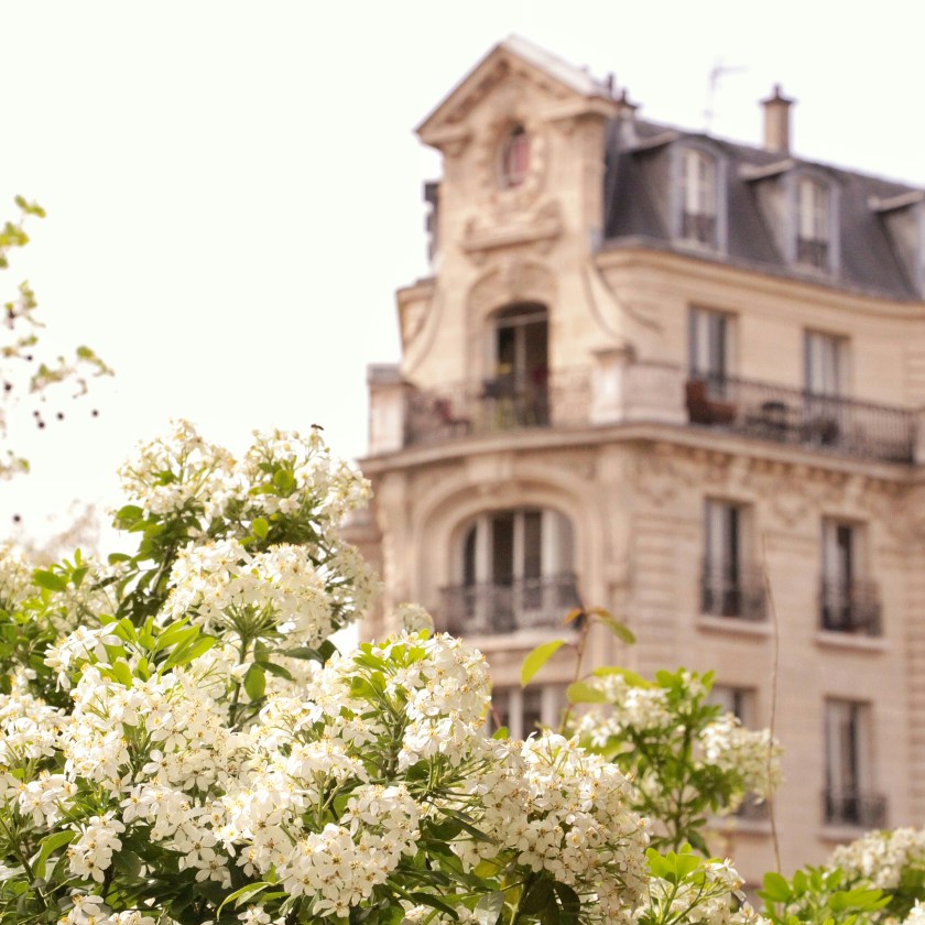 The Promenade Plantée The Promenade Plantée Instagram