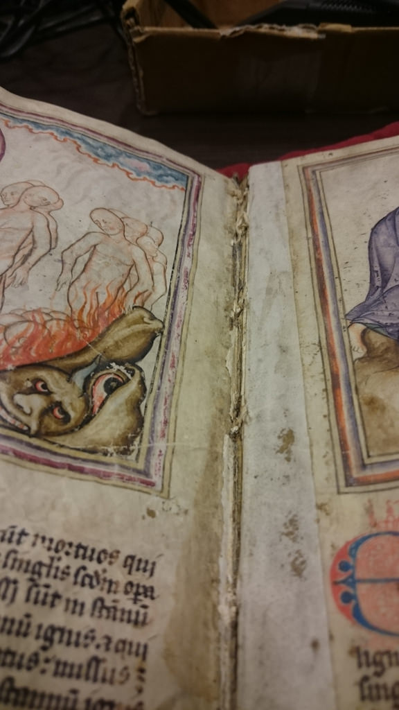 26112666522_9512981083_b