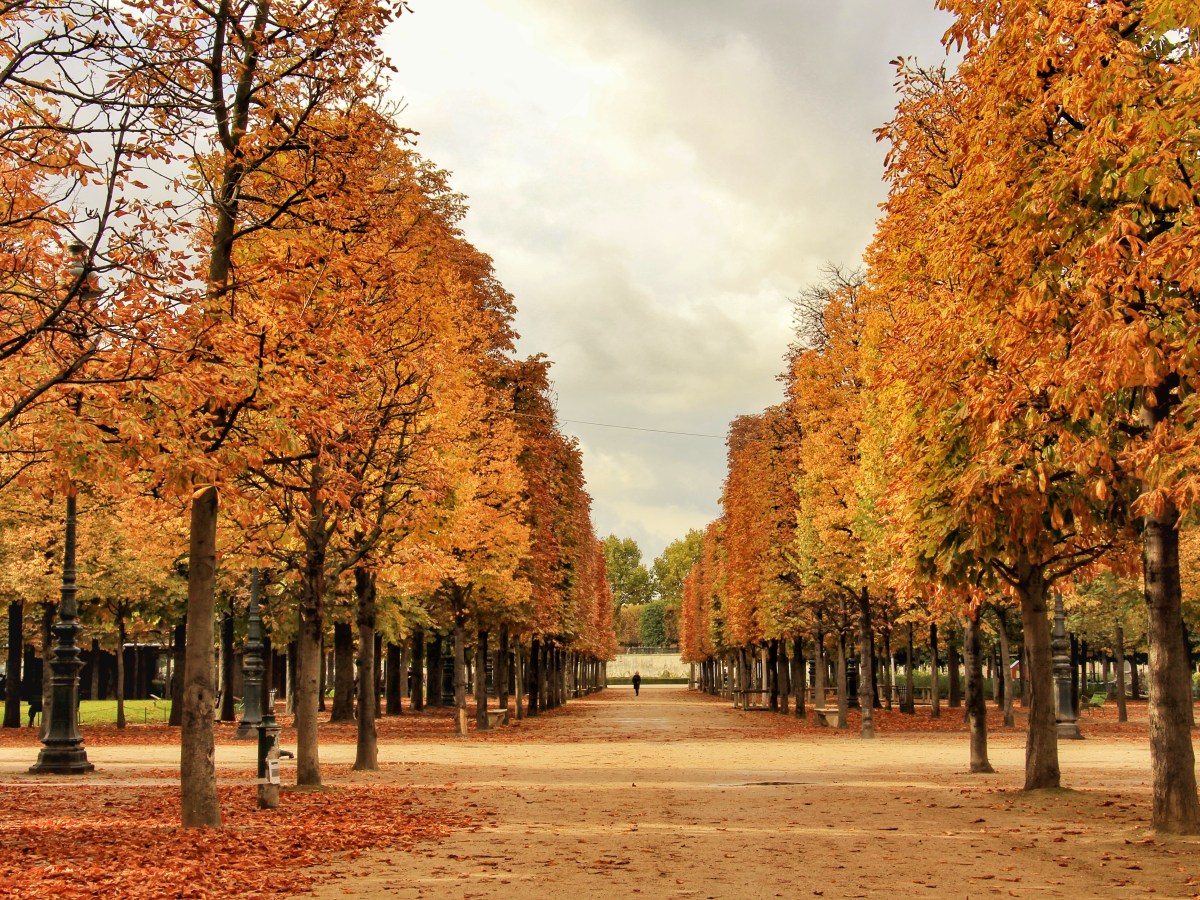An Autumn must in Paris: Walks in the Luxembourg and Tuileries&nbsp;Gardens